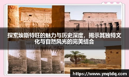 易游体育