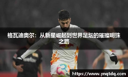 格瓦迪奥尔：从新星崛起到世界足坛的璀璨明珠之路