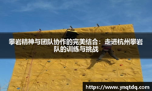 yy易游体育